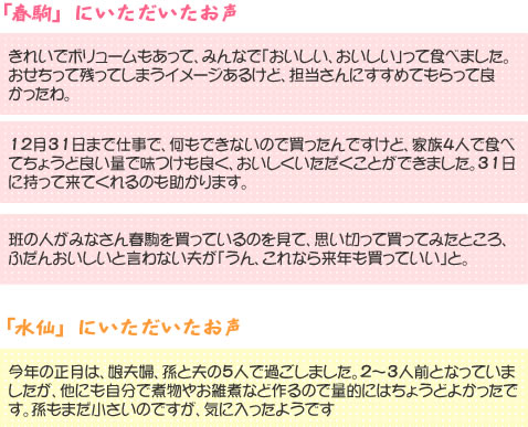 
「春駒」にいただいたお声 「水仙」にいただいたお声