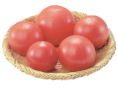 110314tomato_shou.jpg