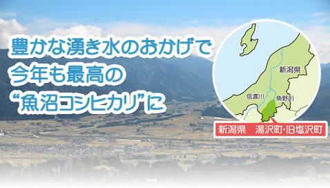 豊かな湧き水のおかげで今年も最高の