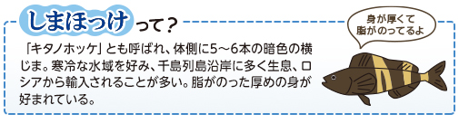 しまほっけって？「キタノホッケ」とも呼ばれ、体側に5～6本の暗色の横じま。寒冷な水域を好み、千島列島沿岸に多く生息、ロシアから輸入されることが多い。脂がのった厚めの身が好まれている。身が厚くて脂がのってるよ