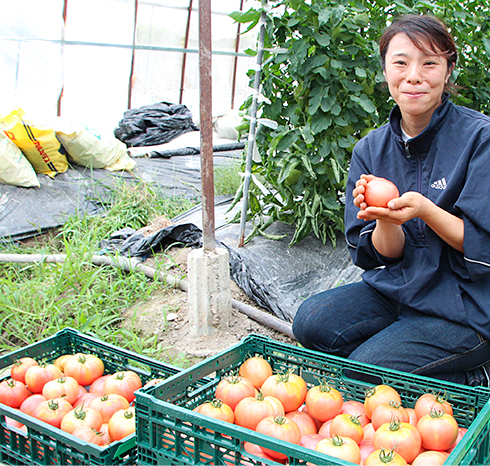 産直 一株トマト ～和歌山県・紀ノ川農協～