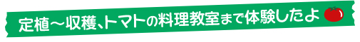 定植～収穫、トマトの料理教室まで体験したよ