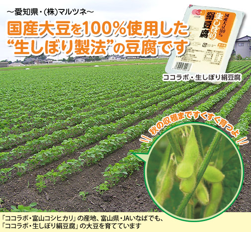 国産大豆を100%使用した 