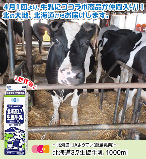 生産者さんおじゃましま～す～北海道・JAようてい(倉島乳業)～４月１回より、牛乳にココラボ商品が仲間入り！！北の大地、北海道からお届けします。～北海道・JAようてい（倉島乳業）～北海道3.7生協牛乳