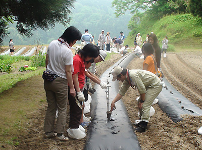 20100522taue.jpg