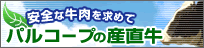 �p���R�[�v�̎Y����