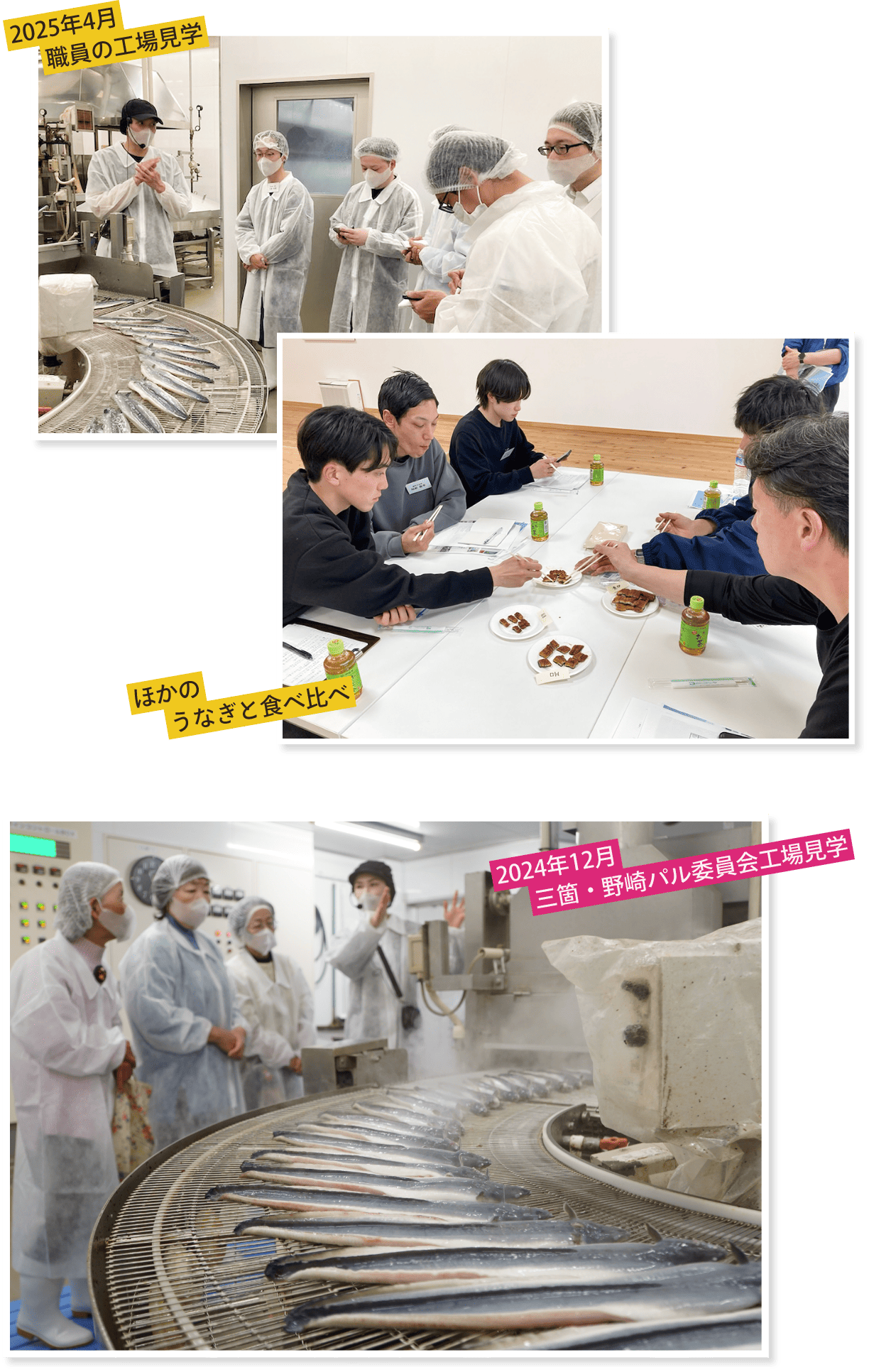 2025年4月職員の工場見学 ほかのうなぎと食べ比べ 2024年12月三箇・野崎パル委員会工場見学