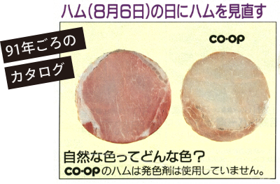 91年ごろのカタログ