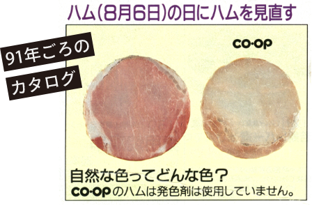 91年ごろのカタログ