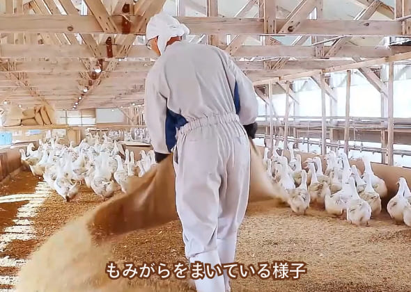 岩手鴨鍋セット