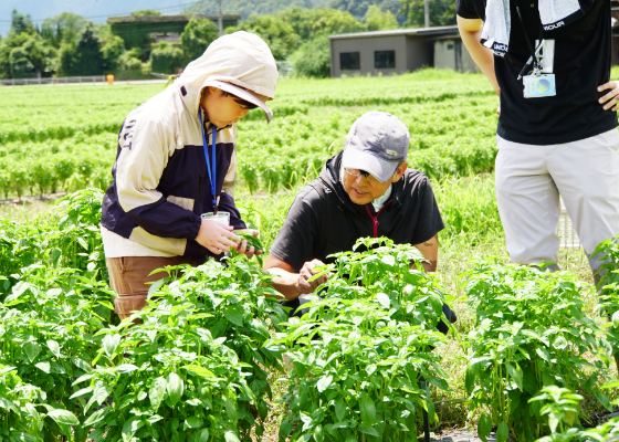 わくわく産地訪問・交流会