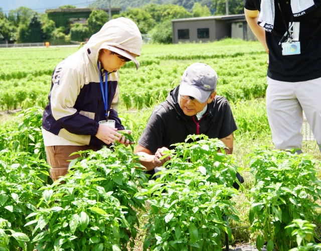 わくわく産地訪問・交流会
