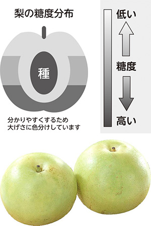 生活協同組合おおさかパルコープ 商品検査室だより