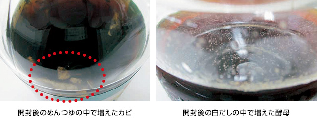 開封後のめんつゆの中で増えたカビ、開封後の白だしの中で増えた酵母