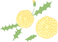 たんぽぽ