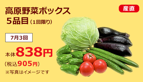 高原野菜ボックス