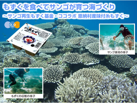 もずくを食べてサンゴが育つ海づくり ～サンゴ再生もずく基金・ココラボ 恩納村産味付糸もずく～