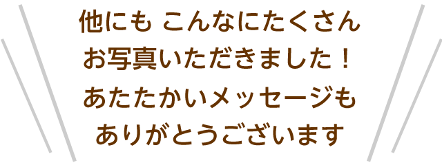 他にもこんなにたくさんお写真いただきました！あたたかいメッセージもありがとうございます