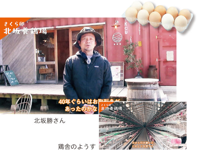 鶏舎のようす