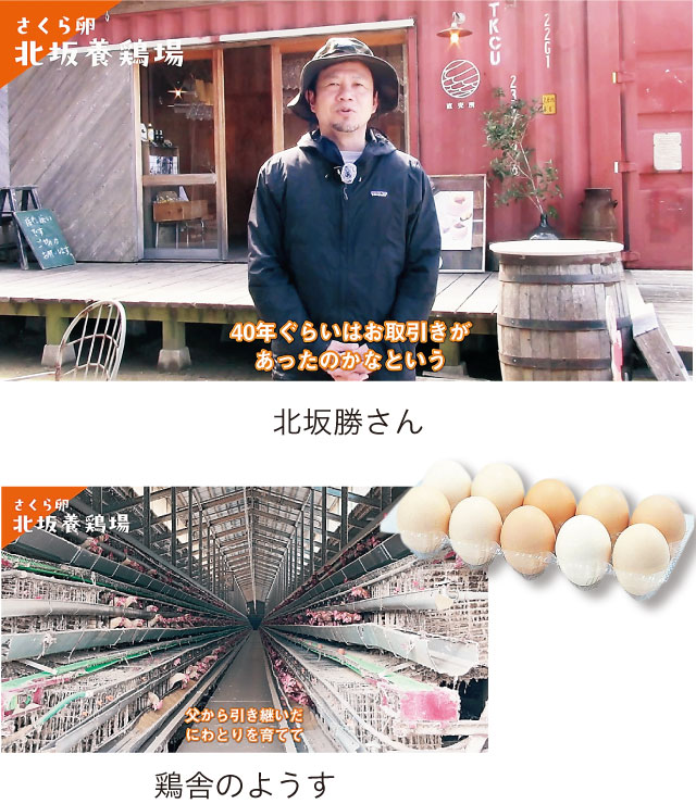 鶏舎のようす