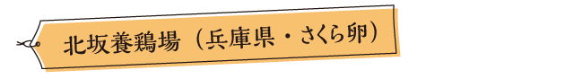 北坂養鶏場（兵庫県・さくら卵）