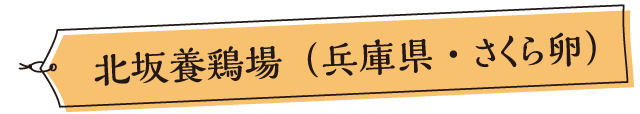 北坂養鶏場（兵庫県・さくら卵）