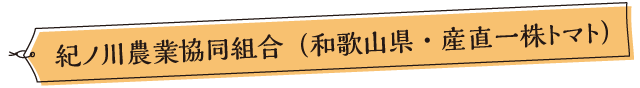 紀ノ川農業協同組合（和歌山県・産直一株トマト）