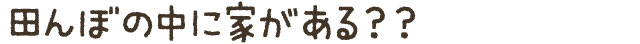 田んぼの中に家がある？？