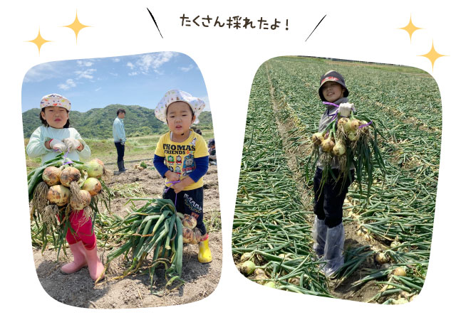 たくさん採れたよ!