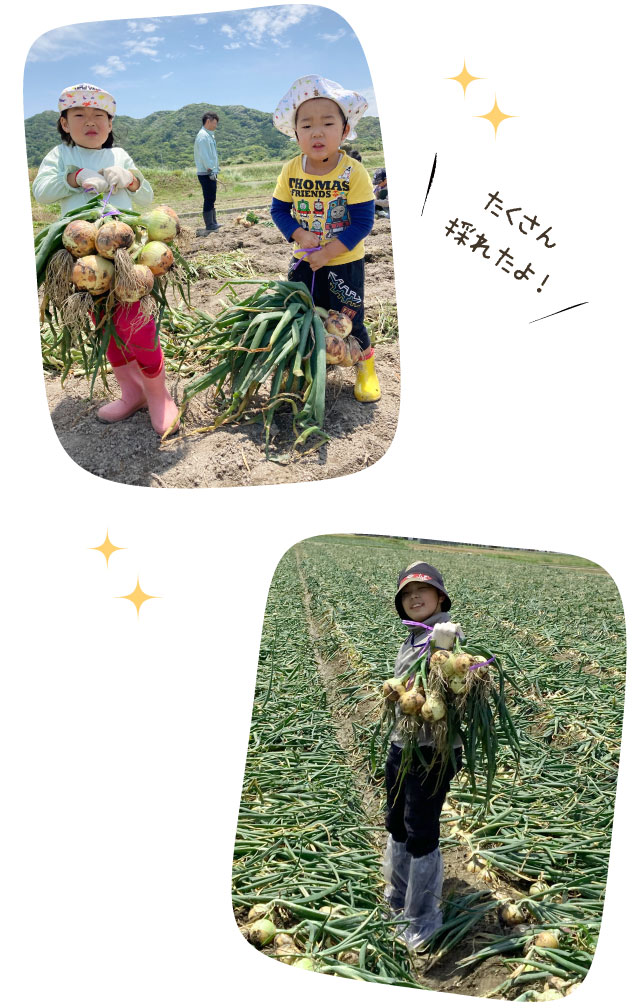 たくさん採れたよ!