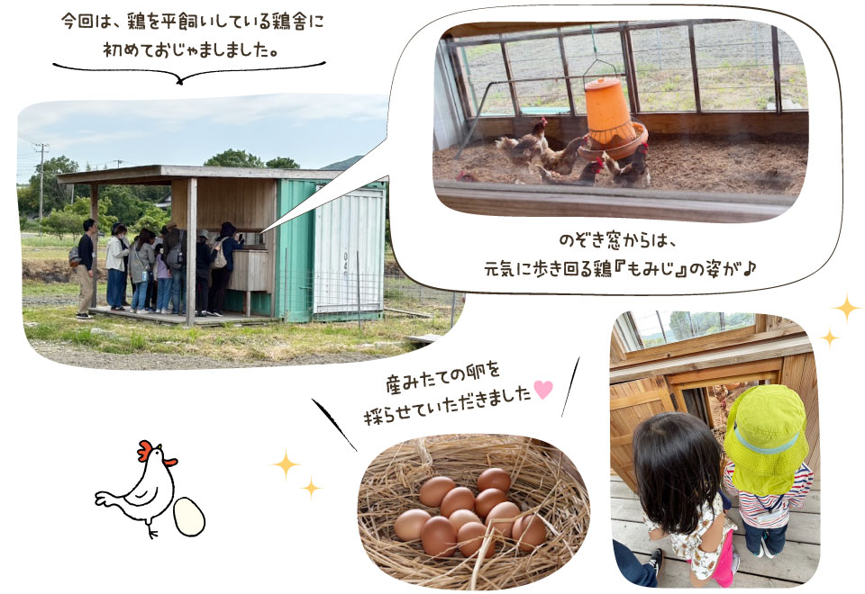 今回は、鶏を平飼いしている鶏舎に初めておじゃましました。