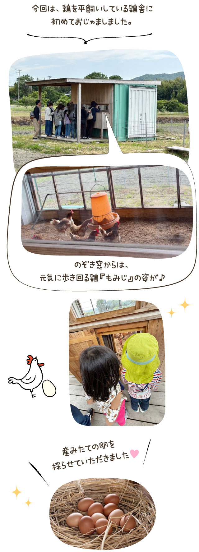 今回は、鶏を平飼いしている鶏舎に初めておじゃましました。