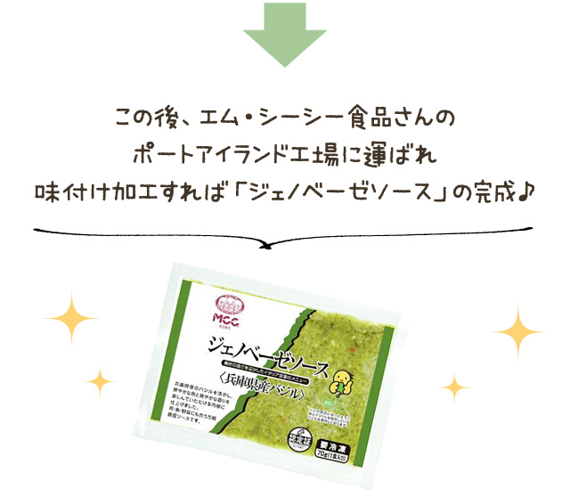 この後、エム・シーシー食品さんのポートアイランド工場に運ばれ味付け加工すれば「ジェノベーゼソース」の完成♪