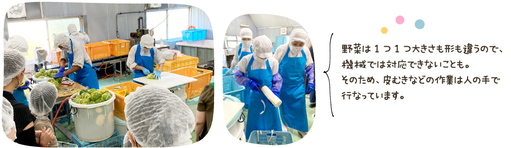 野菜は1つ1つ大きさも形も違うので、機械では対応できないことも。そのため、皮むきなどの作業は人の手で行なっています。