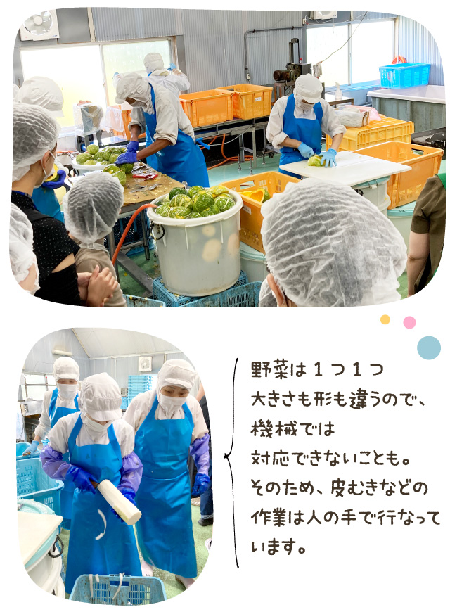 野菜は1つ1つ大きさも形も違うので、機械では対応できないことも。そのため、皮むきなどの作業は人の手で行なっています。