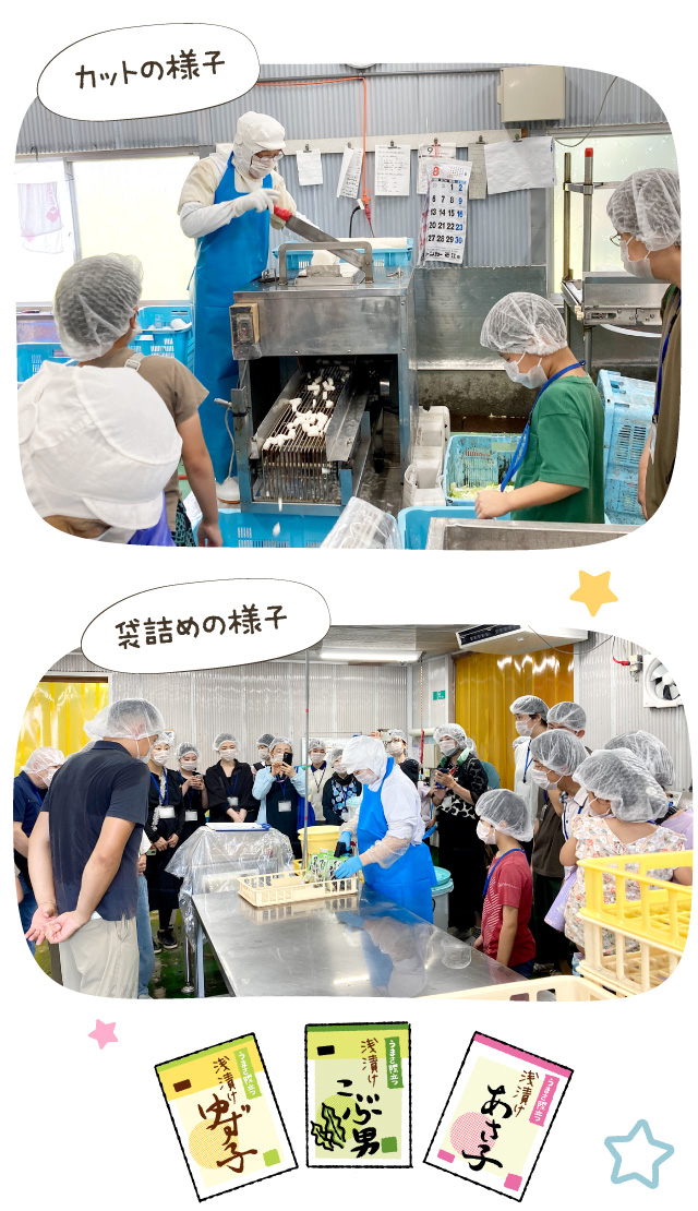 カットの様子。袋詰めの様子