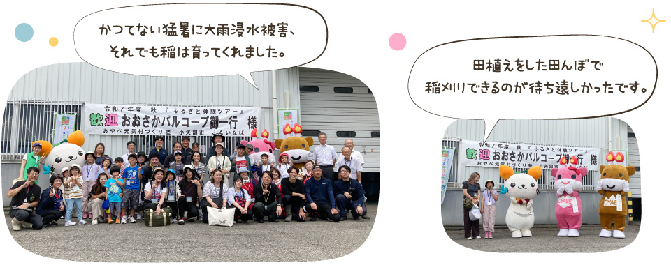 かつてない猛暑に大雨浸水被害、それでも稲は育ってくれました。/田植えをした田んぼで稲刈りできるのが待ち遠しかったです。