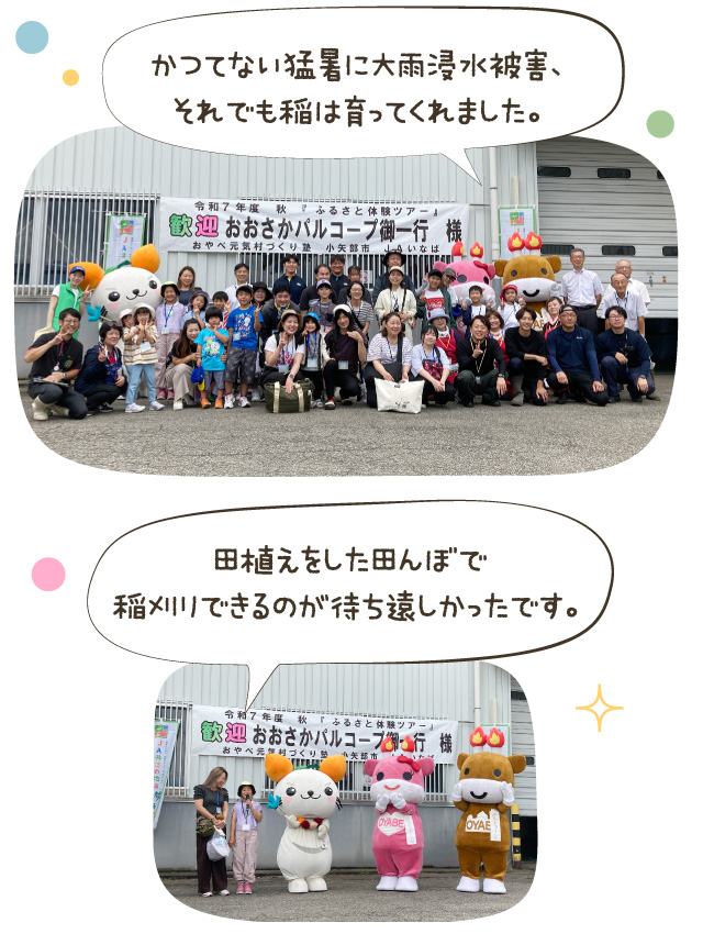 かつてない猛暑に大雨浸水被害、それでも稲は育ってくれました。/田植えをした田んぼで稲刈りできるのが待ち遠しかったです。