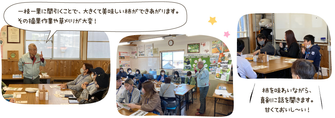 一枝一果に間引くことで、大きくて美味しい柿ができあがります。その摘果作業や草刈りが大変！／柿を味わいながら、真剣に話を聞きます。甘くておいし～い！