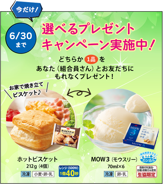 今だけ!選べるプレゼントキャンペーン実施中!