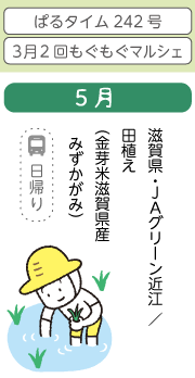 5月　滋賀県・JAグリーン近江 / 田植え（金芽米滋賀県産みずかがみ）