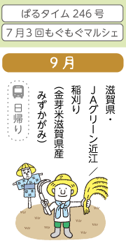 9月　滋賀県・JAグリーン近江 / 稲刈り（金芽米滋賀県産みずかがみ）