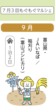9月　富山県・JAいなば / 稲刈り(富山コシヒカリ)