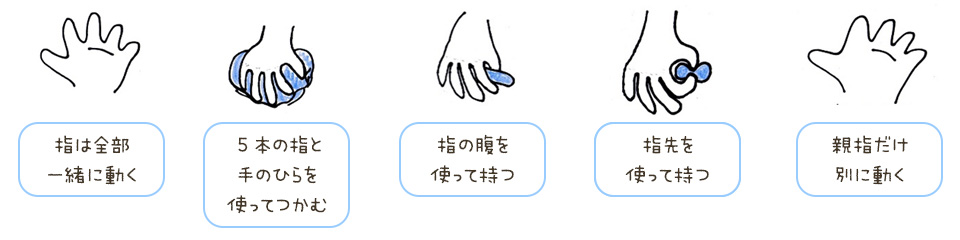 指は全部一緒に動く。5本の指と手のひらを使ってつかむ　など