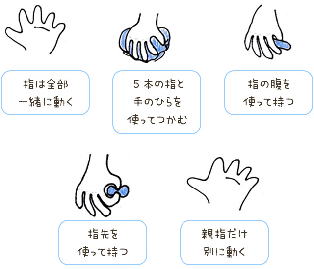 指は全部一緒に動く。5本の指と手のひらを使ってつかむ　など