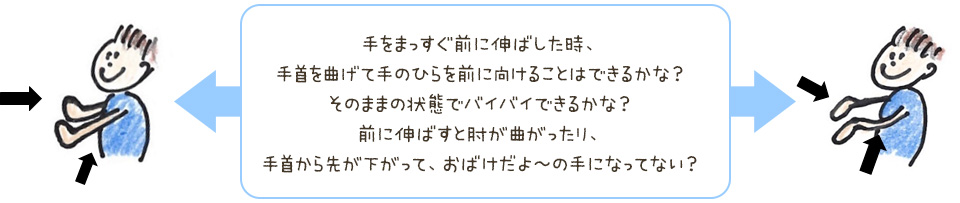 手をまっすぐ前に伸ばした時、手首を曲げて手のひらを前に向けることはできるかな？