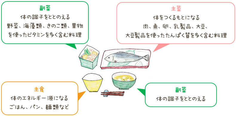 主食：体のエネルギー源になる。主菜：体をつくるもとになる。副菜：体の調子をととのえる。