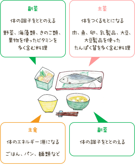 主食：体のエネルギー源になる。主菜：体をつくるもとになる。副菜：体の調子をととのえる。