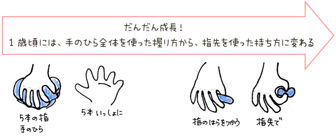 だんだん成長！　1歳頃には、手のひら全体を使った握り方から、指先を使った持ち方に変わる