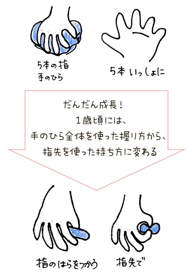 だんだん成長！　1歳頃には、手のひら全体を使った握り方から、指先を使った持ち方に変わる